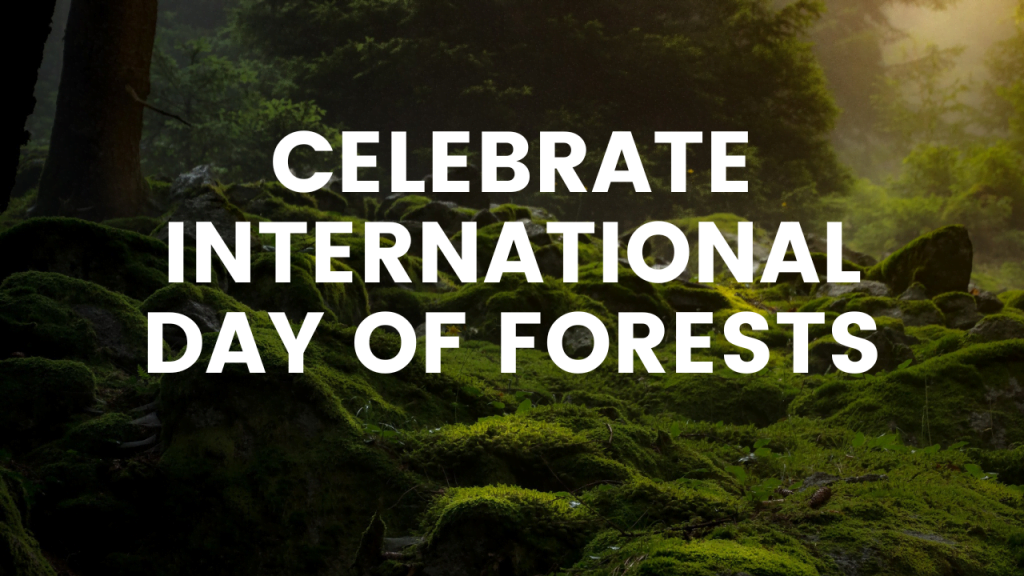 International Day of Forests